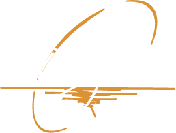 Delgiro logo